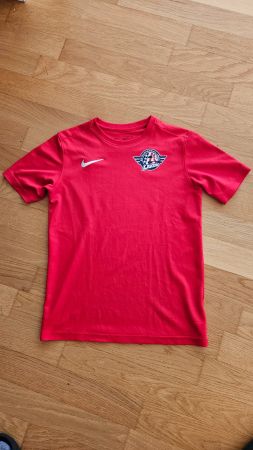 Nike T-Shirt Lakers Rapperswil