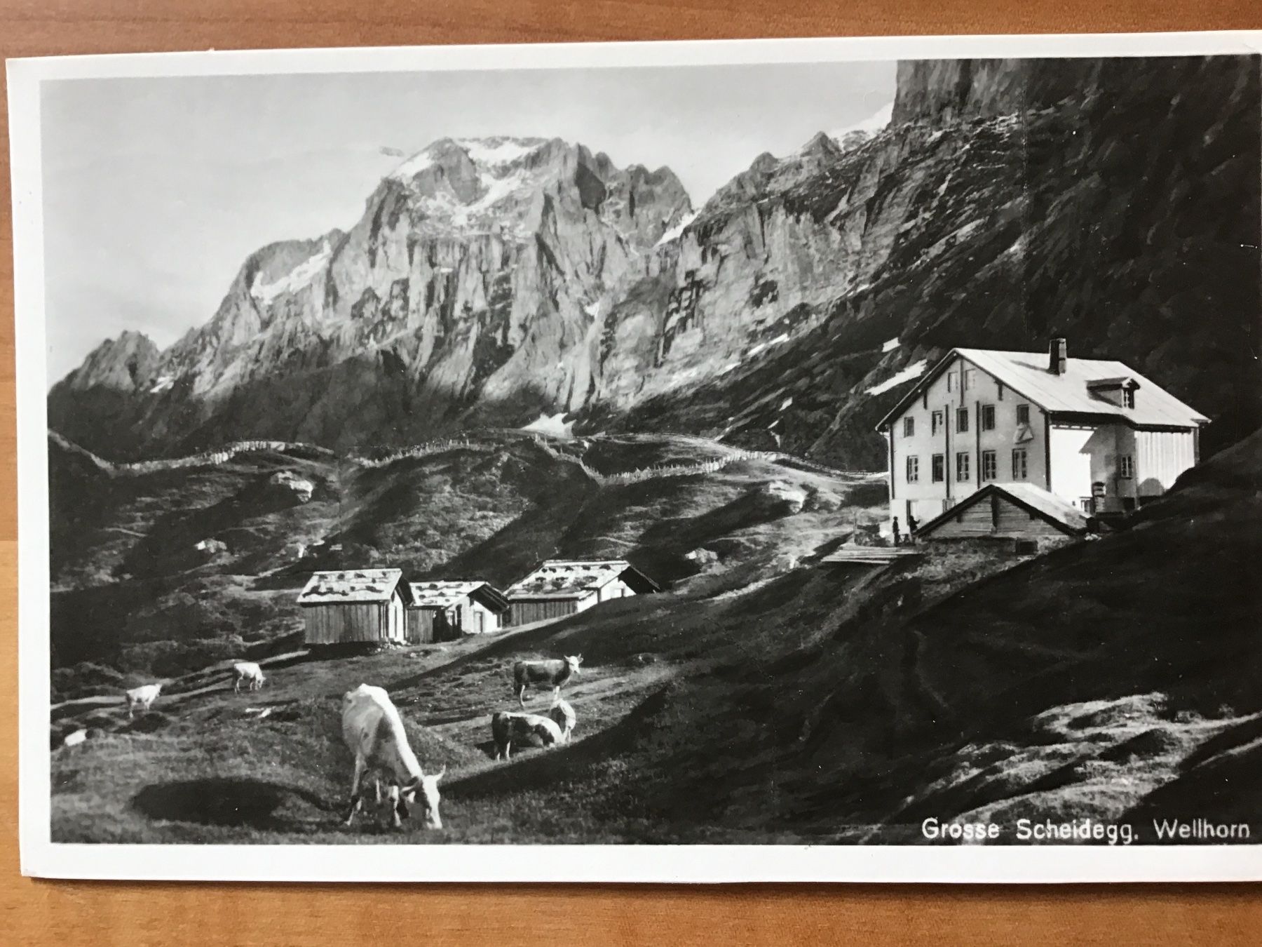 Cartoline postali: Grosse Scheidegg Wellhorn – Usato da Kirchenthurnen venduto da Gluecksbrief