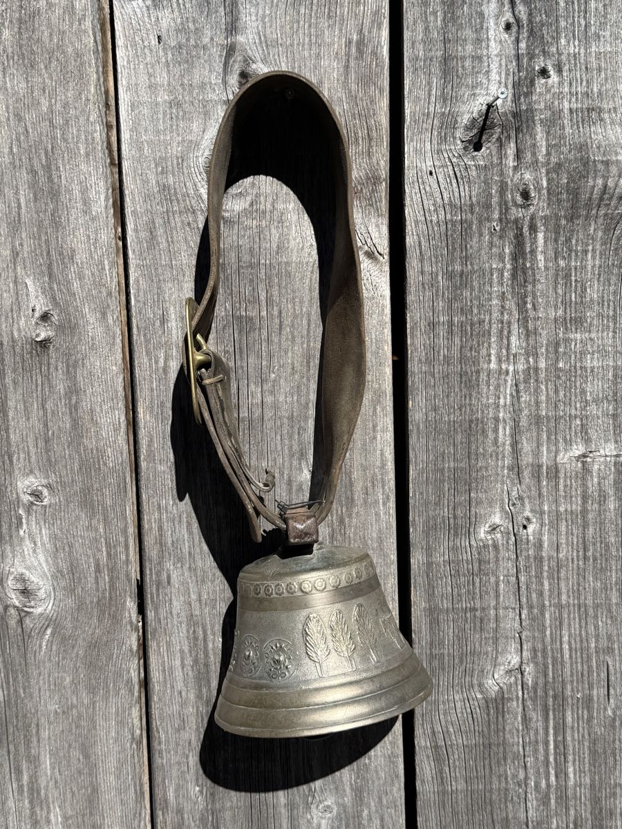 Campanacci mucche: Schöne alte Glocke – Usato da Sargans venduto da foxtrading 4