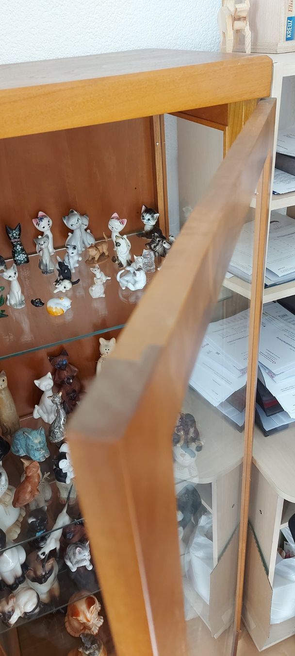 Vitrinen: Vitrine! – Gebraucht aus Rehetobel von Suejoe 7
