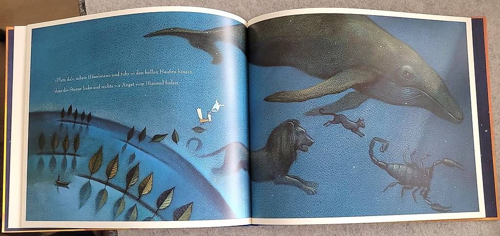 Libri: Der kleine Häwelmann – Usato da Oberuzwil venduto da rtr_wp6m 2