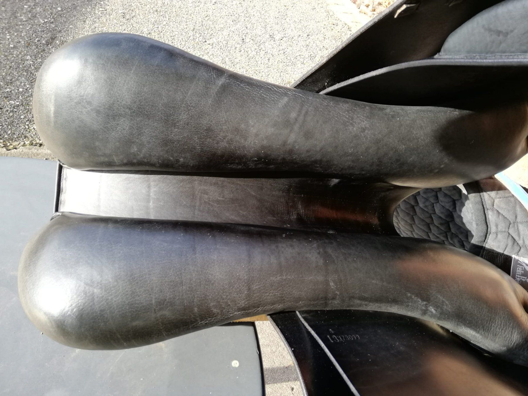 Selle & Accessori: Vielseitigkeitssattel – Usato da Birrhard venduto da sofortdiverses 5
