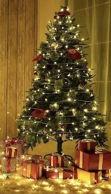 Tutte le decorazioni: Weihnachts Lichter – Usato da Baden venduto da laurent2025 3