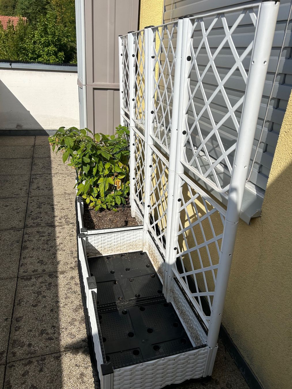 Pots de fleurs: Pflanztopf – D'occasion à Bottmingen par Cesar1234