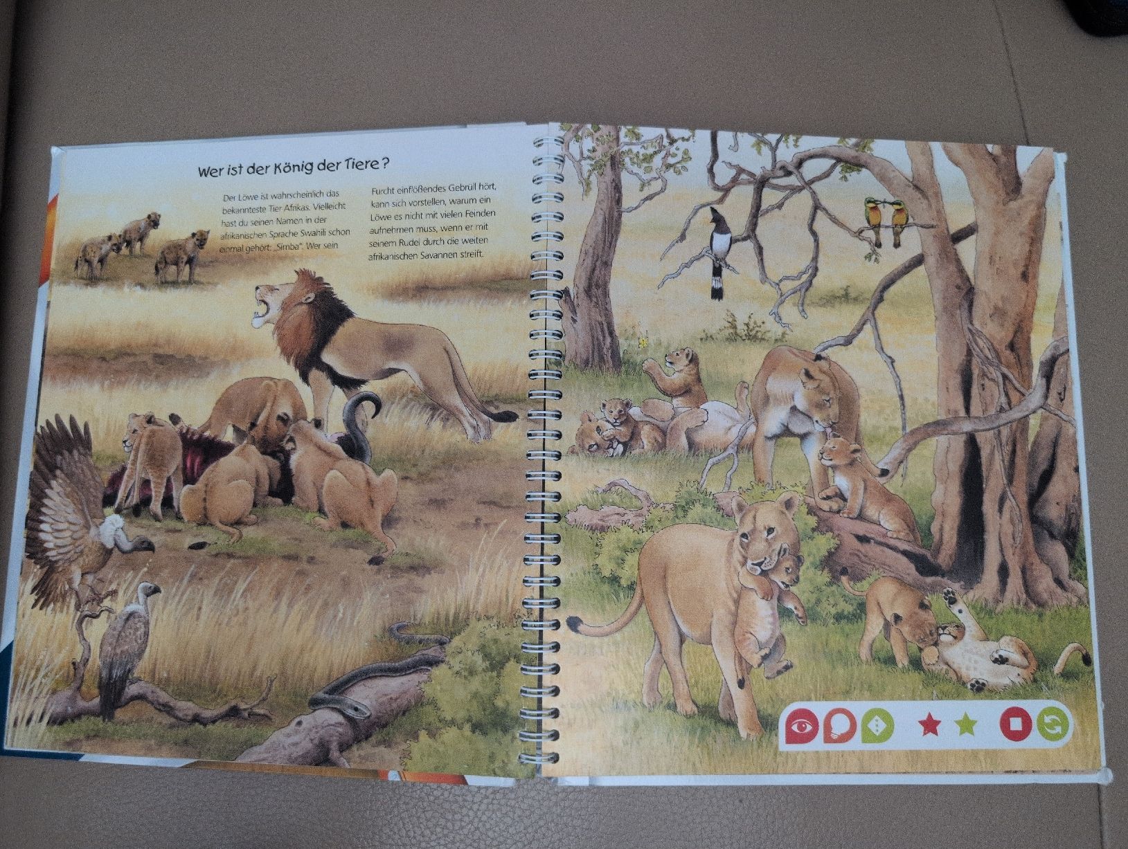 Libri: tiptoi Entdecke die Tiere Afrikas Buch – Usato da Schwerzenbach venduto da _charme_ 3