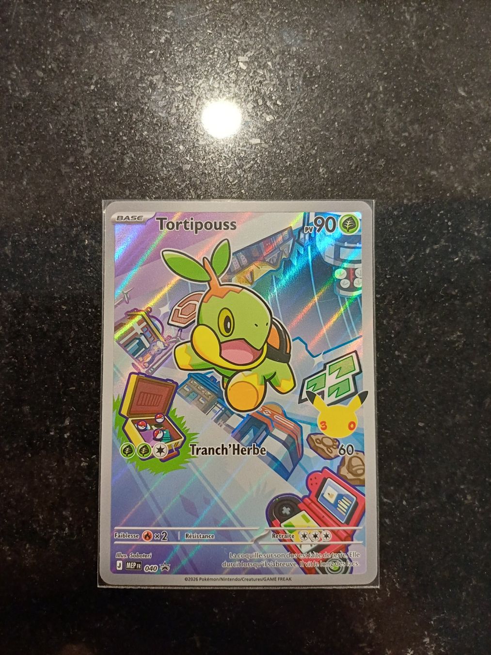 Pokémon Carte collezionabili: Tortipouss - Alternative - 040 - Fr – Usato da Bernex venduto da Adrieneagle
