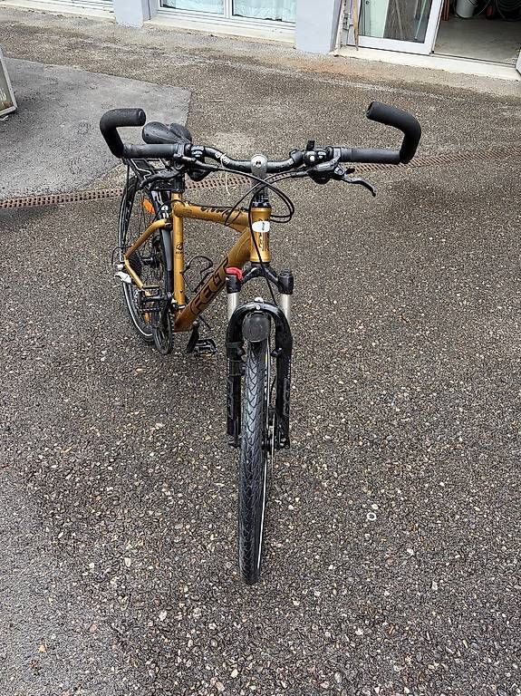 Biciclette: Goldenes MTB – Usato da Zürich venduto da raf_5wj5 4