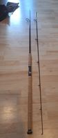 Balzer Magna Pro Salmon Angelrute 3.00m 40-80g