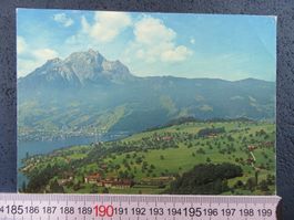 KASTANIENBAUM BEI LUZERN AK KURHEIM ST.CHRISCHONA LU LUFTBIL