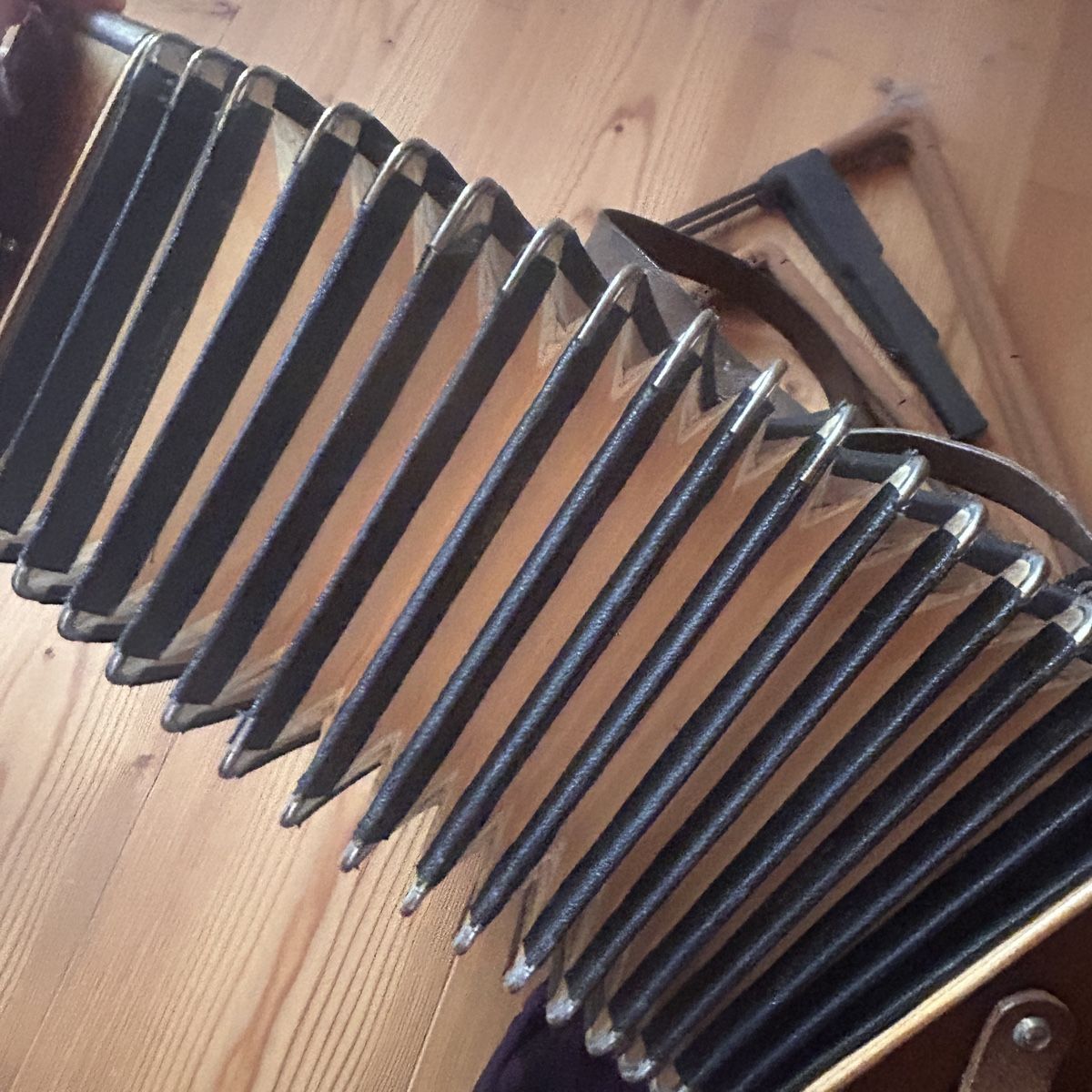 Hohner Strumenti musicali: Hohner Erika Akkordeon Schweiz! – Usato da Laufen venduto da belleskulptur 9
