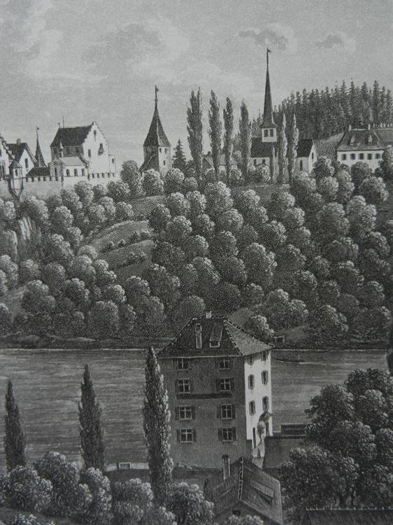Gravures: Schloss Laufen Rheinfall – D'occasion à Risch par Rischli15 7