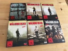 THE WALKING DEAD 6 Staffeln uncut Special Edition Kult Top