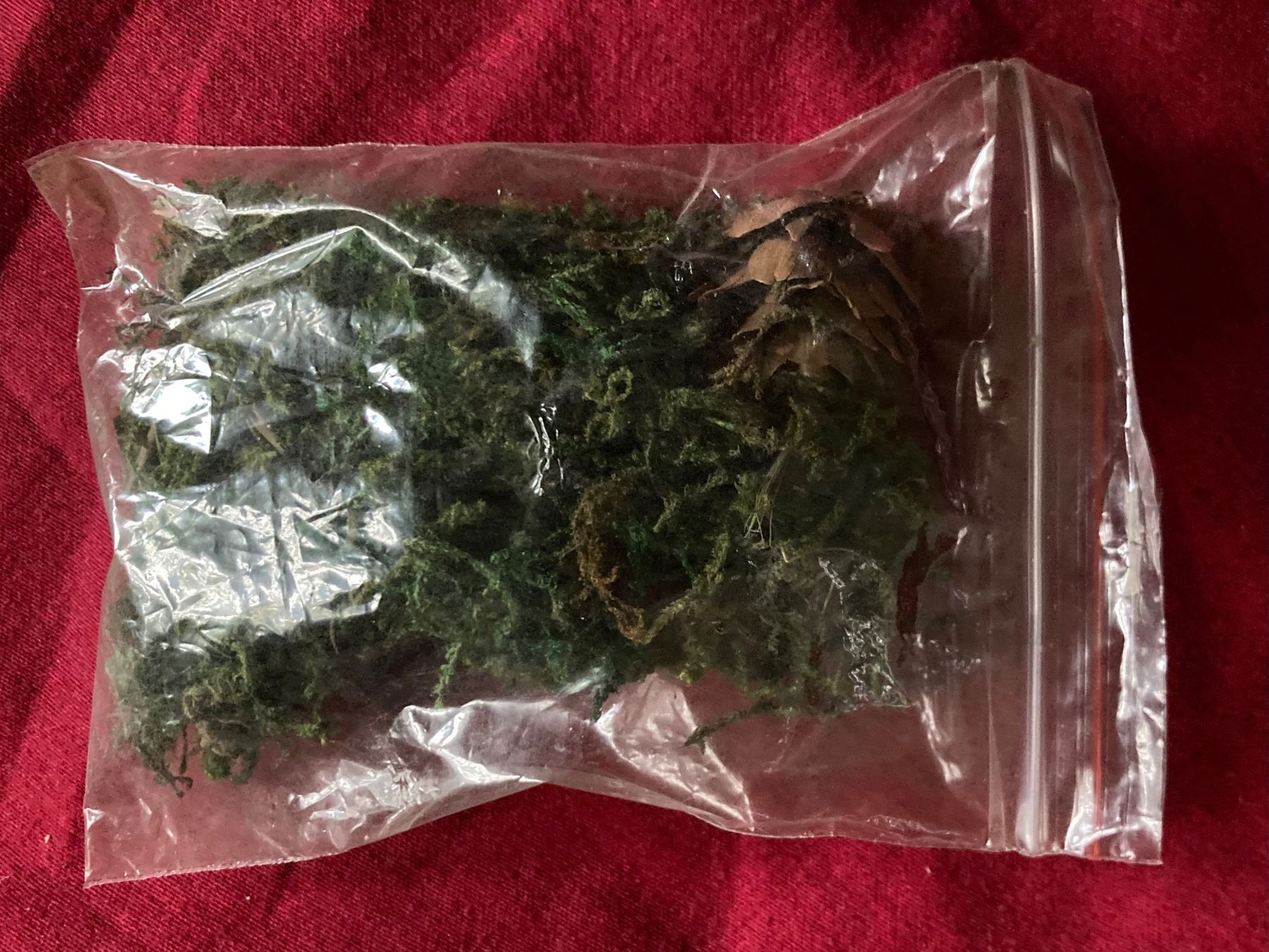 Alle Dekorationen: Glasglocke mit Eichhörnchen, beleuchtet, Marke Leonardo  NEU – Neu und originalverpackt aus Zürich von Gustavo_Bianco 6