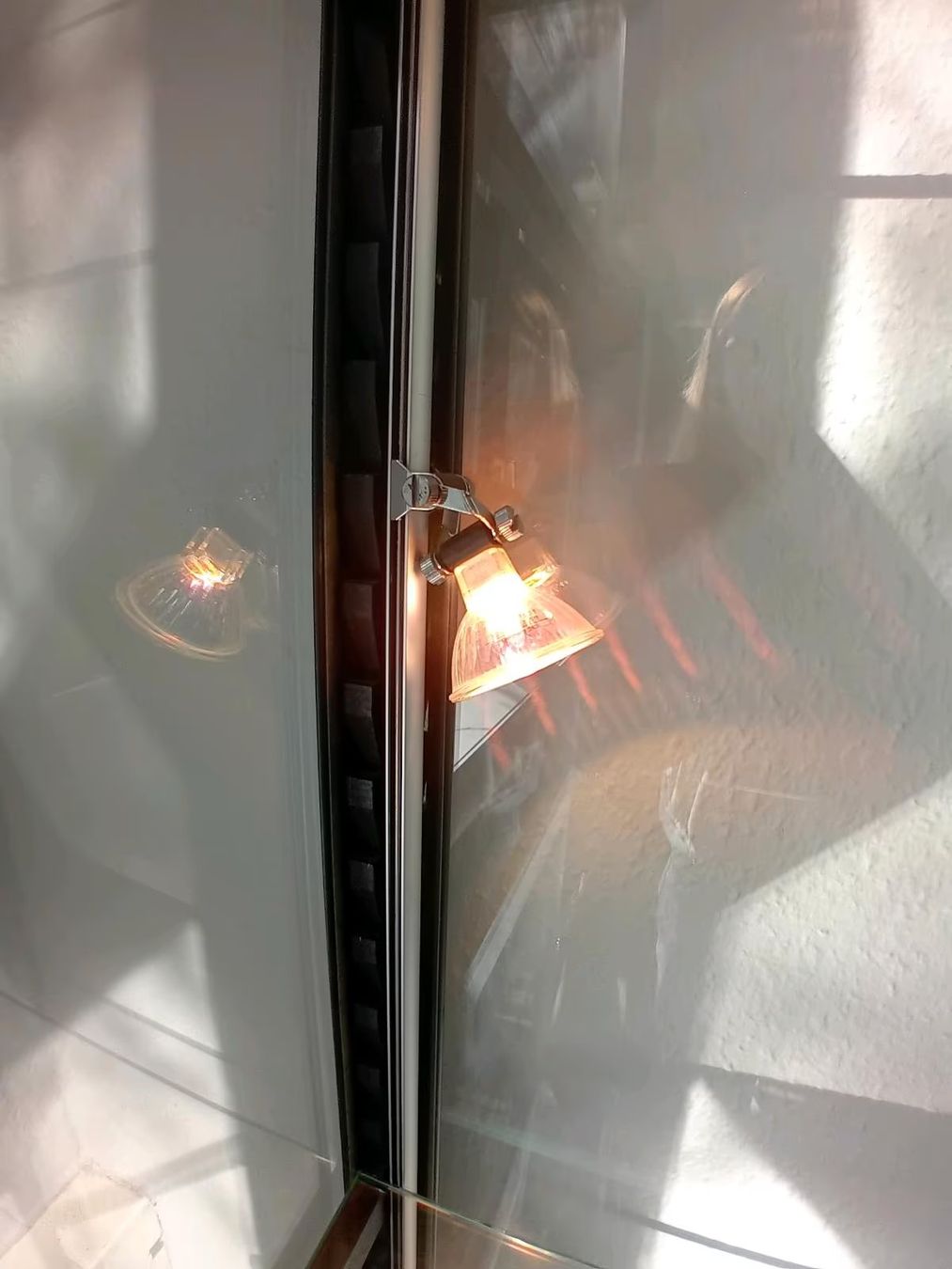 Vitrinen: Lambert Vitrine "Schneewittchen" – Gebraucht aus Altendorf von 62303AMAX 3