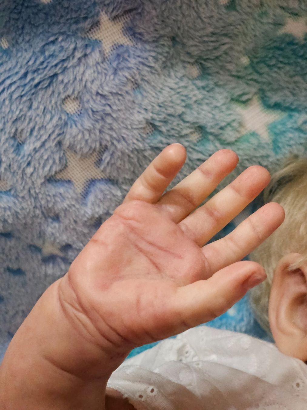 Reborn Bambole: Rebornbaby Chantal – Usato da Beringen venduto da Sternschnappi 6
