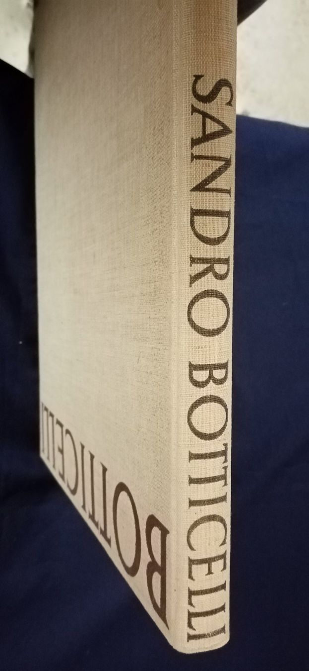 Libri: Botticelli , Bildband – Nuovo (secondo la descrizione) da Büsingen venduto da Flohminator