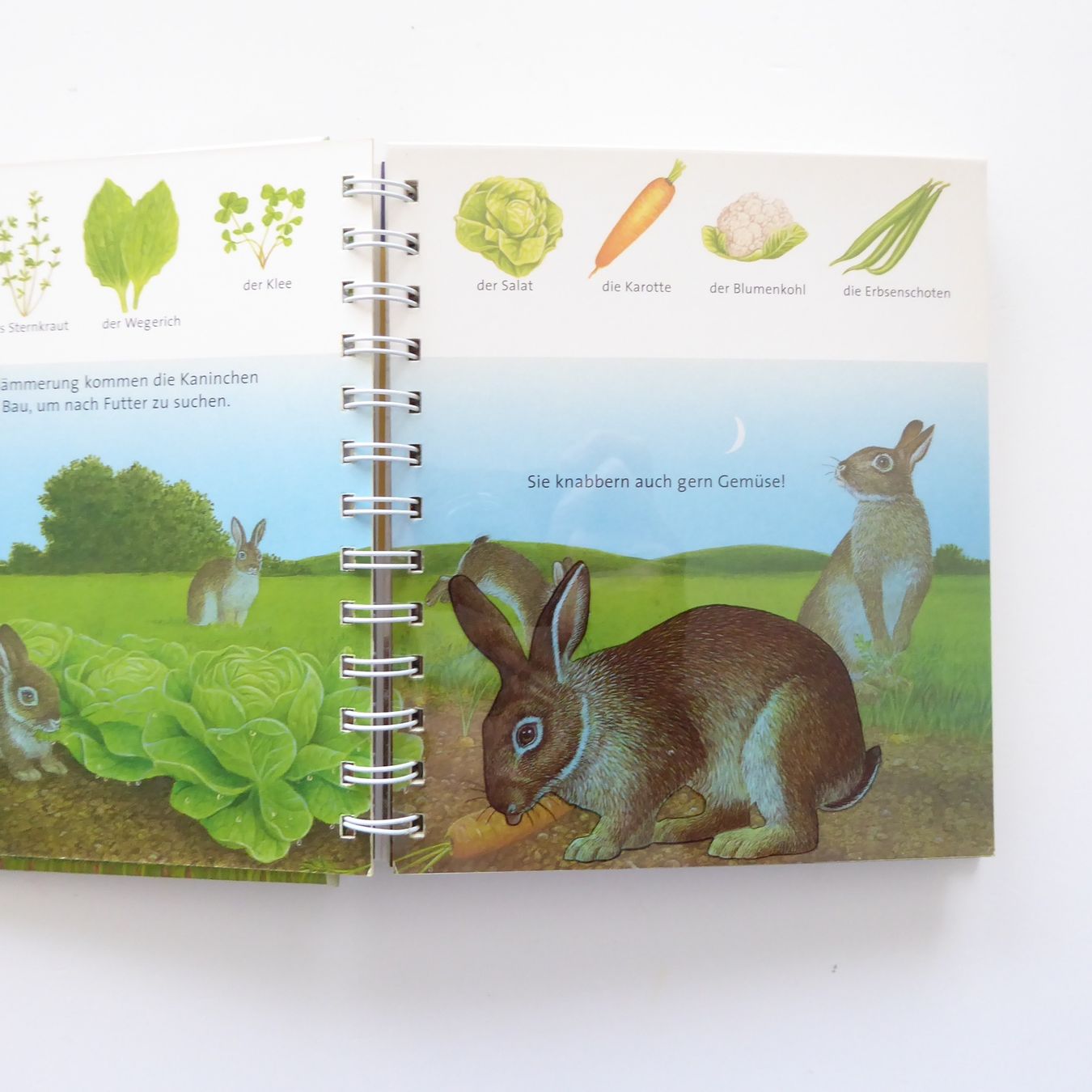 Libri: Das Kaninchen - Meyer Kinderbibliothek – Usato da Basel venduto da Kunterbunt12 3