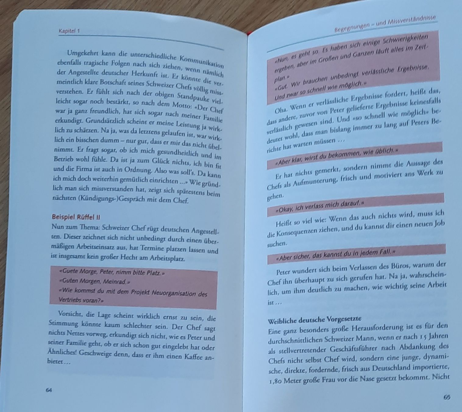 Libri: Buch EXGÜSI - top neuwertig – Nuovo (secondo la descrizione) da BRUNNEN venduto da Sole21 2