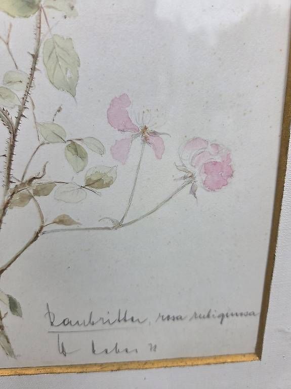 Posters & Illustrations: Originalbild Aquarell "Raubritter" – D'occasion à Buchs par Schenker55 1
