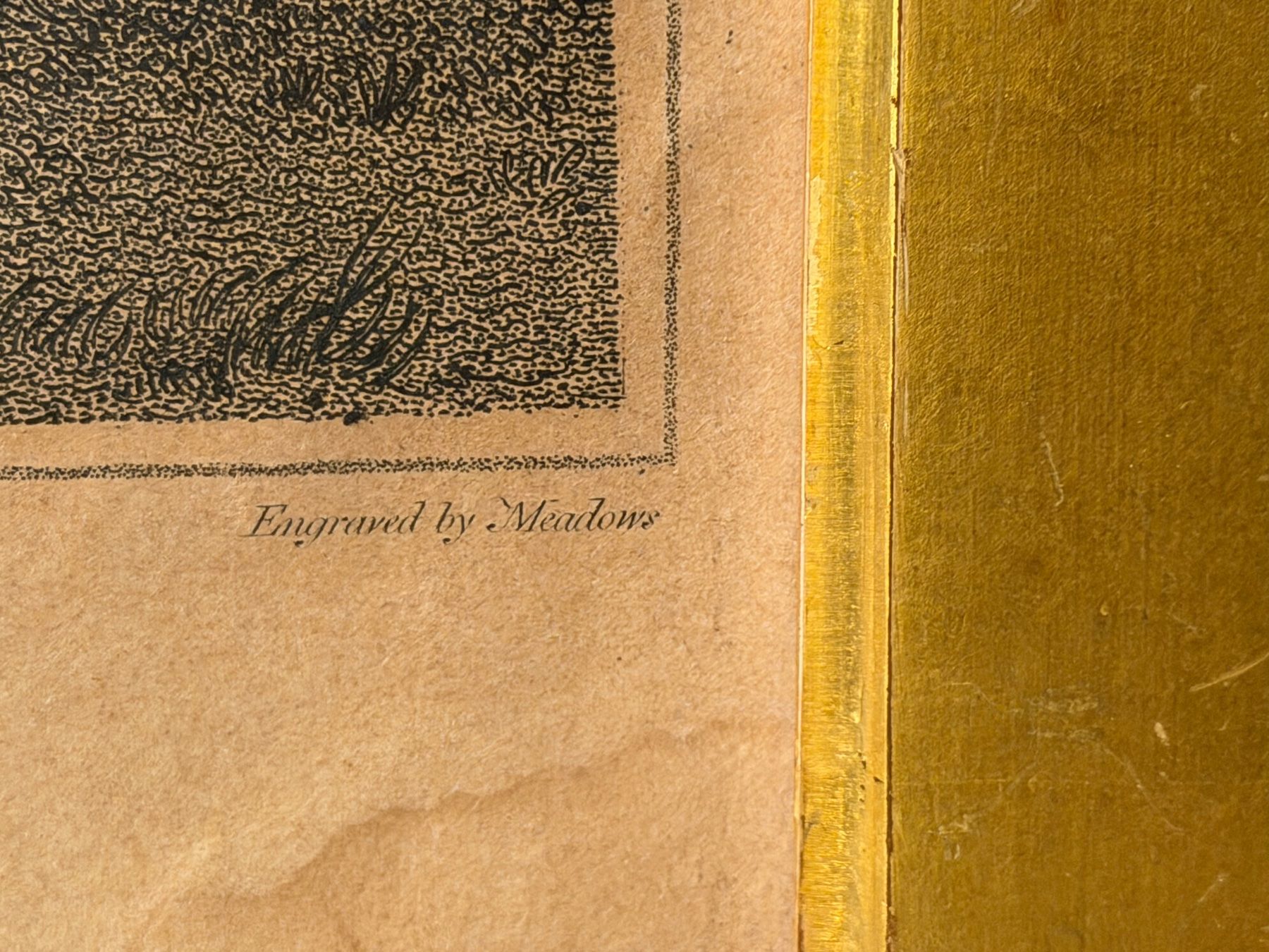 Dipinti: 1800 Gravur von Robert Mitchell Meadows British Museum – Usato da Basel venduto da PAUL_ART 8