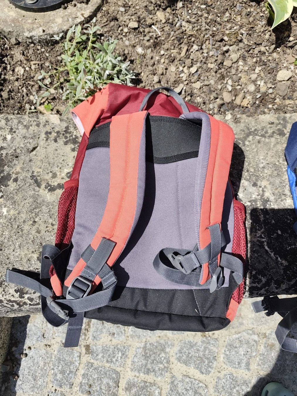 Deuter Borse & Zaini: Kinderrucksack deuter rot – Usato da Zürich venduto da Eszter4 1