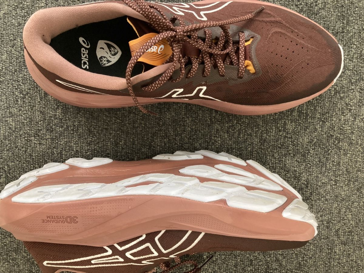 Asics Scarpe da donna: Asics GT-2000 14 – Usato da Zürich venduto da itr_9byj 1