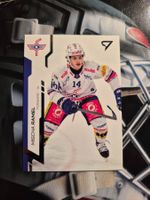 Mischa Ramel EHC Kloten Sportzoo 2024/25