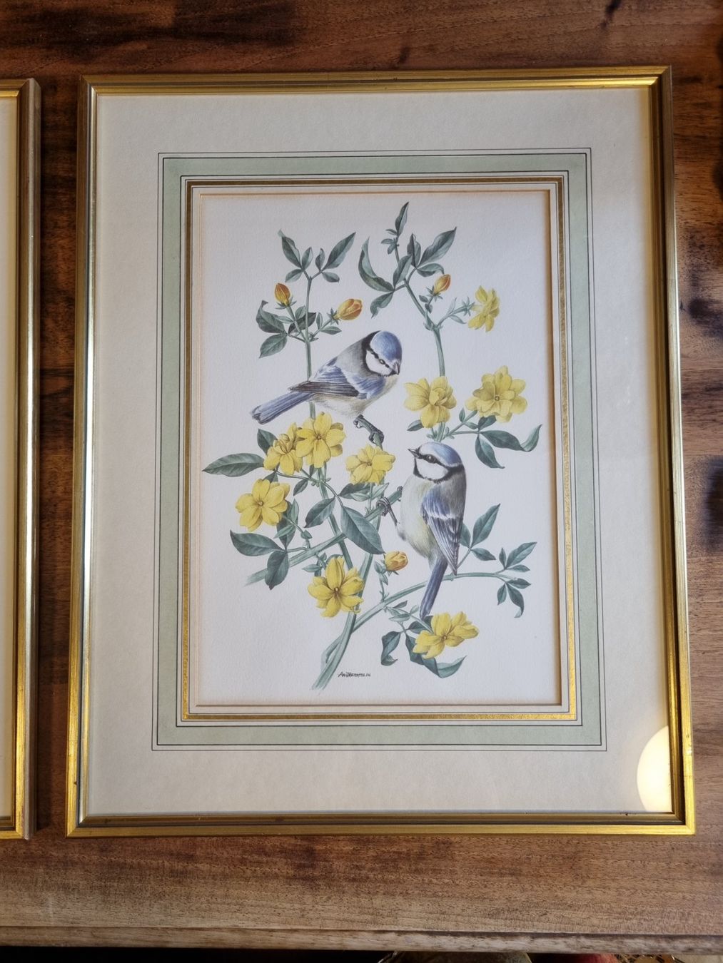 Foto & Immagini: 2 Vintage Kunstdrucke A.M. Trechslin Vögel – Usato da Scharnachtal venduto da devin03 1