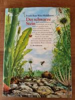 Bilderbuch "Der schwarze Stein"
