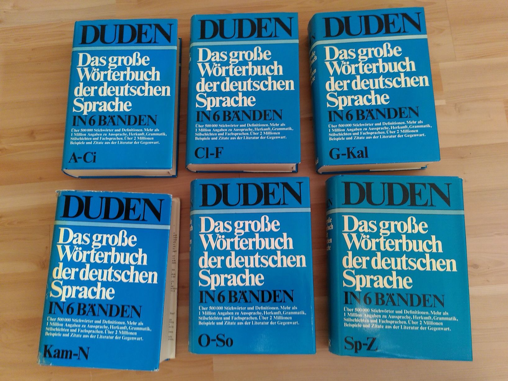 Libri: DUDEN IN 6 BÄNDEN – Usato da Brugg AG venduto da olamim