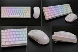 ⌨️🖱️ Deltaco Gaming RGB Tastatur & Maus – Top Zustand