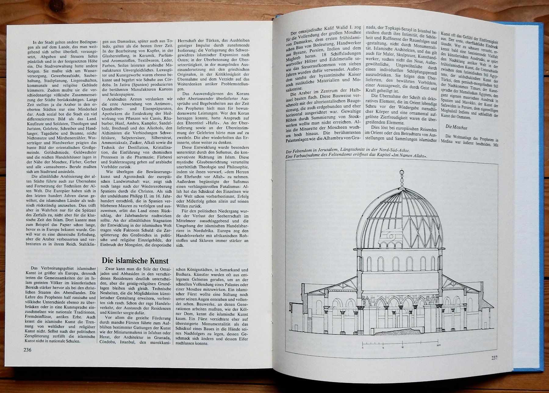 Libri: Reise in die Alte Welt – Usato da Burgdorf venduto da Joggigring 1