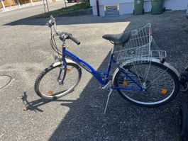 Leopard Cross Town Citybike