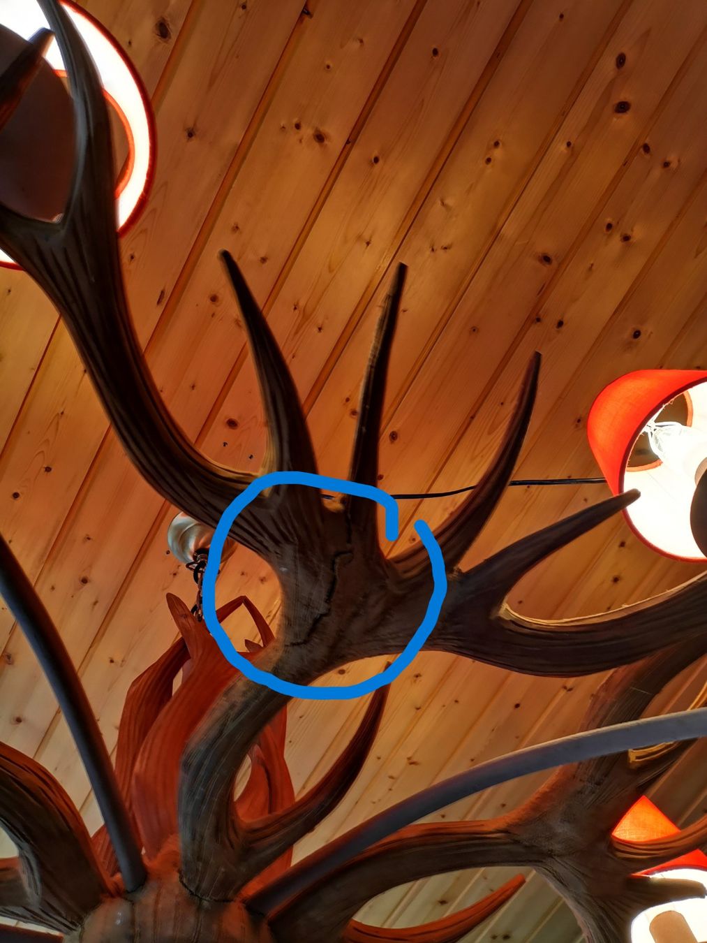 Lustres & lampes de plafonds: Geweih-Leuchter – D'occasion à Trin Mulin par obt_g2k2 3
