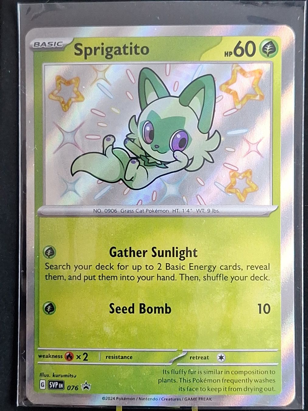 Pokémon Carte collezionabili: Shiny Sprigatito - Promo – Usato da Altstätten SG venduto da GGsGameshop