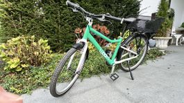 Kinderfahrrad Woom 5 mintgrün gebraucht mit Korb