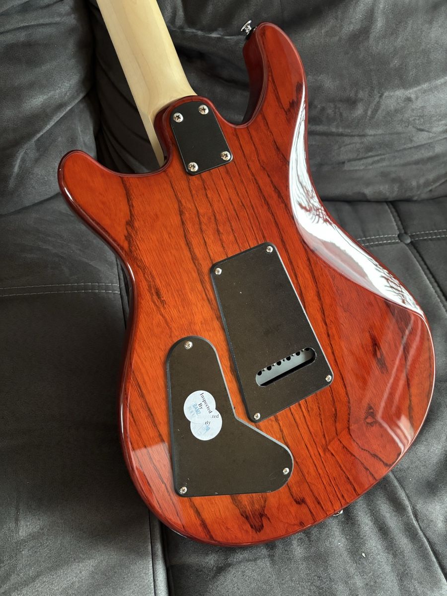 PRS Strumenti musicali: PRS Swamp Ash Special SE – Nuovo (secondo la descrizione) da uetendorf venduto da Volvorine16 4