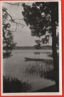 PFÄFFIKON Am Pfäffikersee