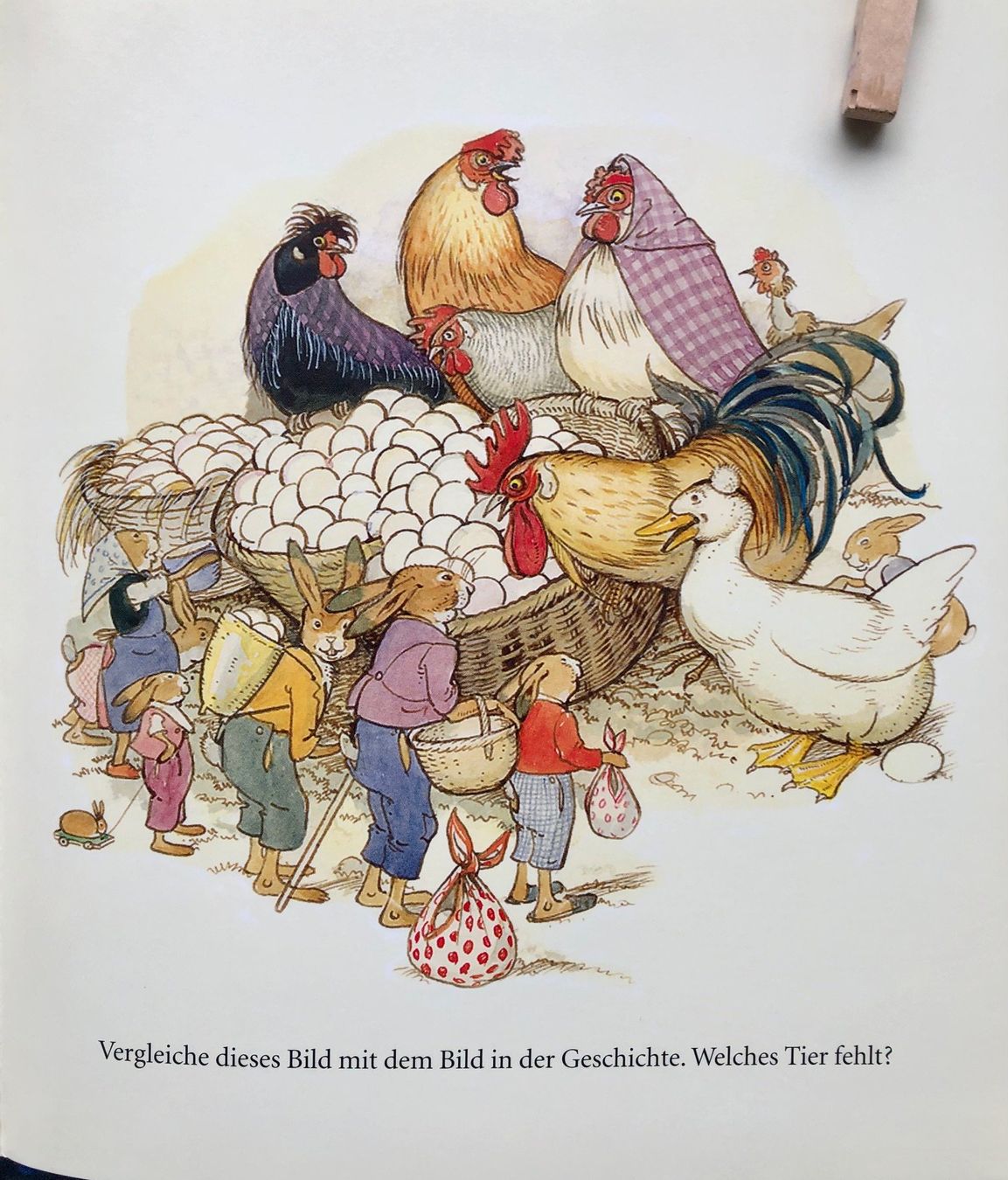 Libri: Bilderbuch "Von den sieben Osterhäschen" Else Wenz-Viëtor – Usato da Winterthur venduto da Barunggeli 7