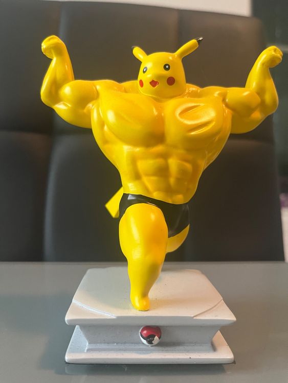 Bodybuilding Pikachu (Gebraucht) in Starrkirch-Wil für CHF 9 – mit ...