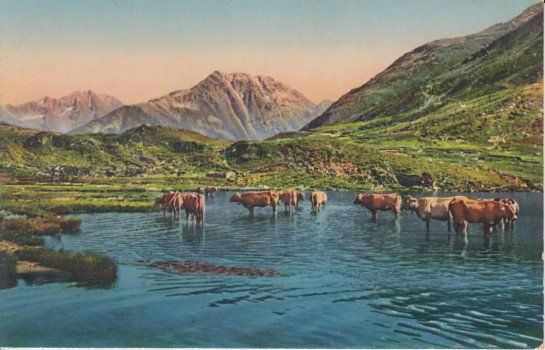 Cartoline postali: Oberalpsee – Nuovo (secondo la descrizione) da Zuerich venduto da OceanLinerPostcards