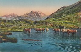 Oberalpsee