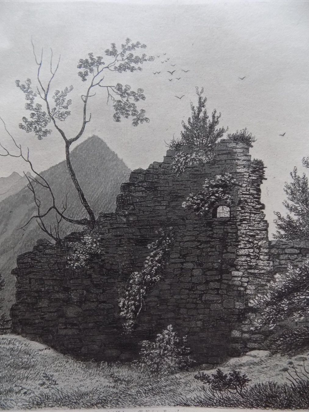 Incisioni: Ruine Rotzberg Ennetmoos – Usato da Risch venduto da Rischli15 5