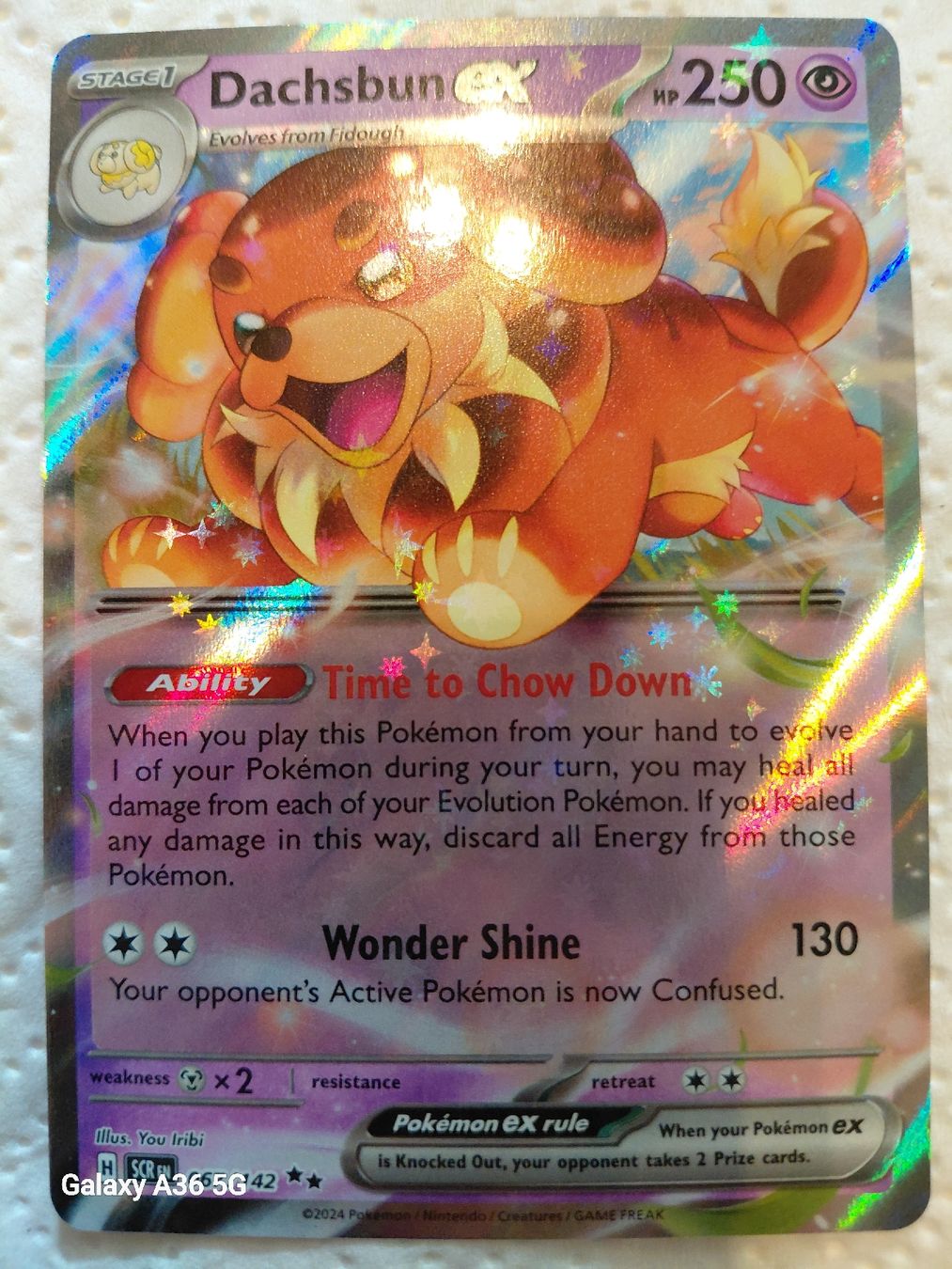 Pokémon Sammelbilder & Trading cards: Dachsbun ex 067/142 – Neu (gemäss Beschreibung) aus Zuchwil von Sam-ler-in