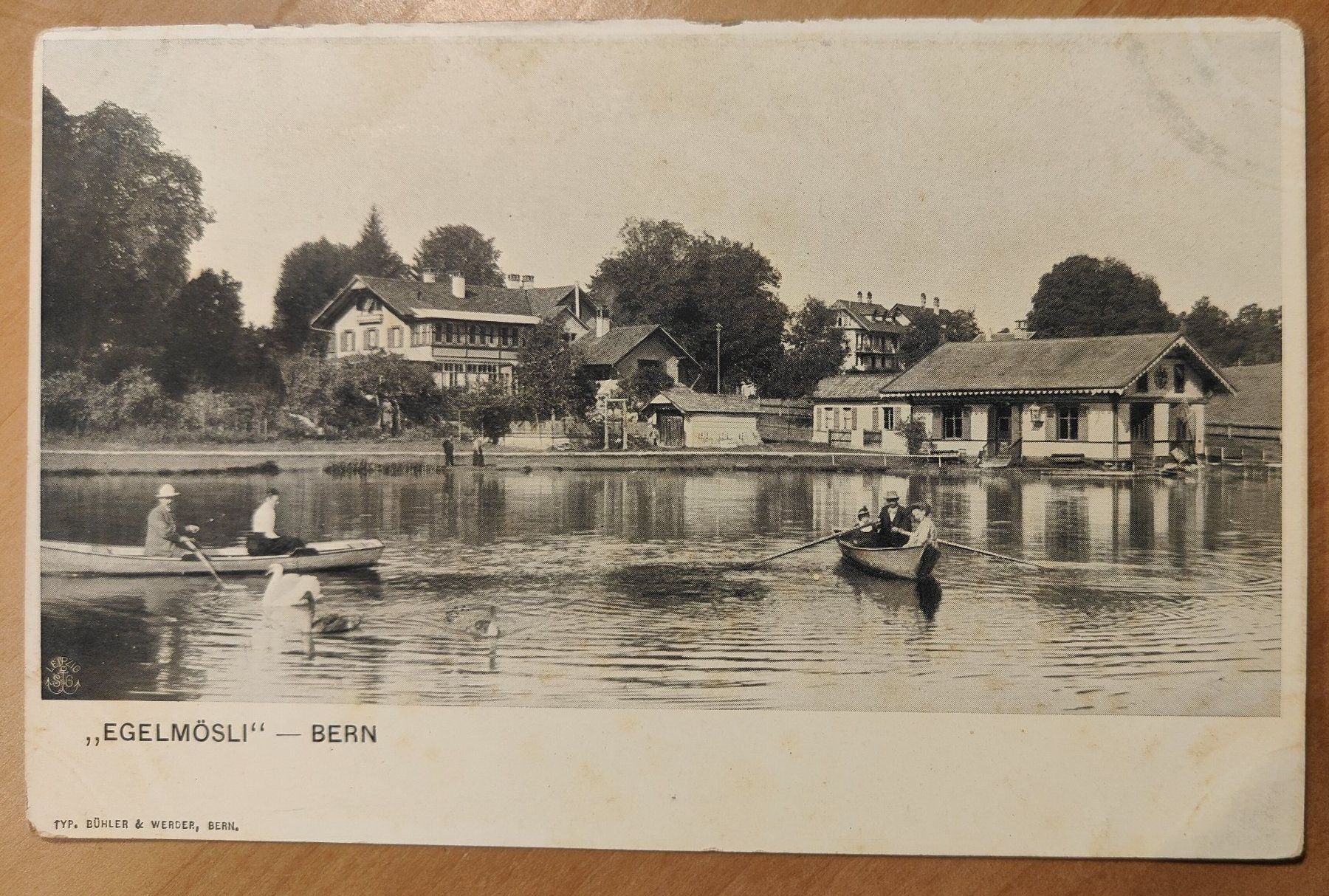 Cartoline postali: Egelmösli Bern um 1900 – Usato da St. Erhard venduto da Chaeferli6
