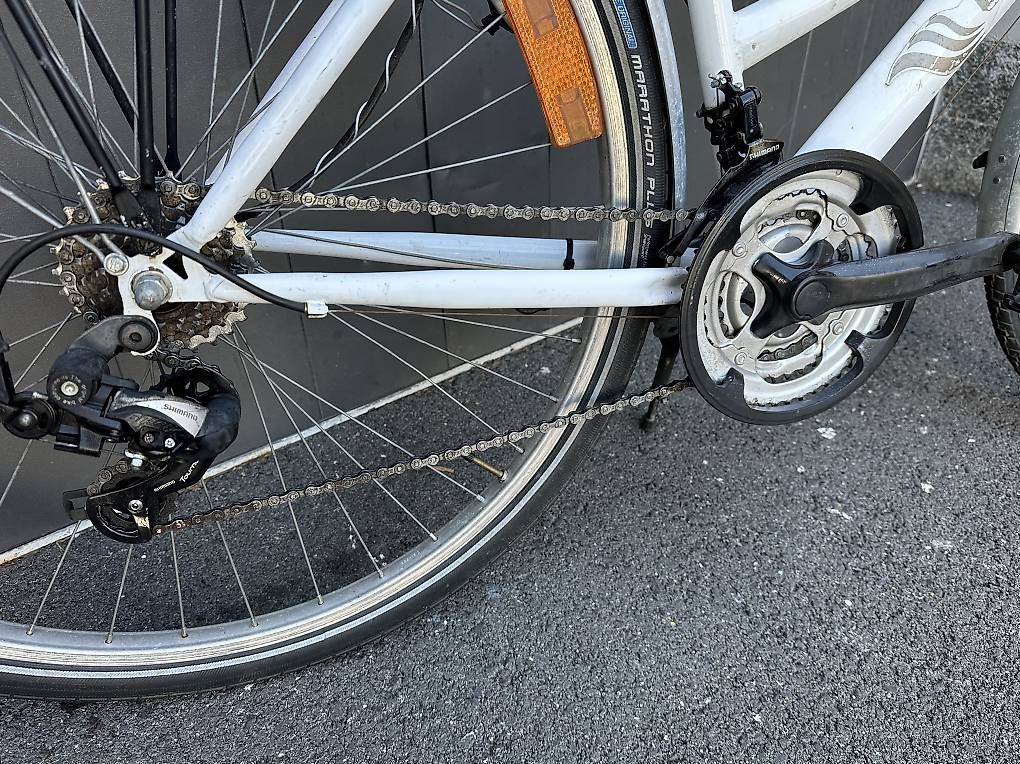Velos: Bicicletta da donna California 28 – Gebraucht aus Quartino von DiloUsato 3