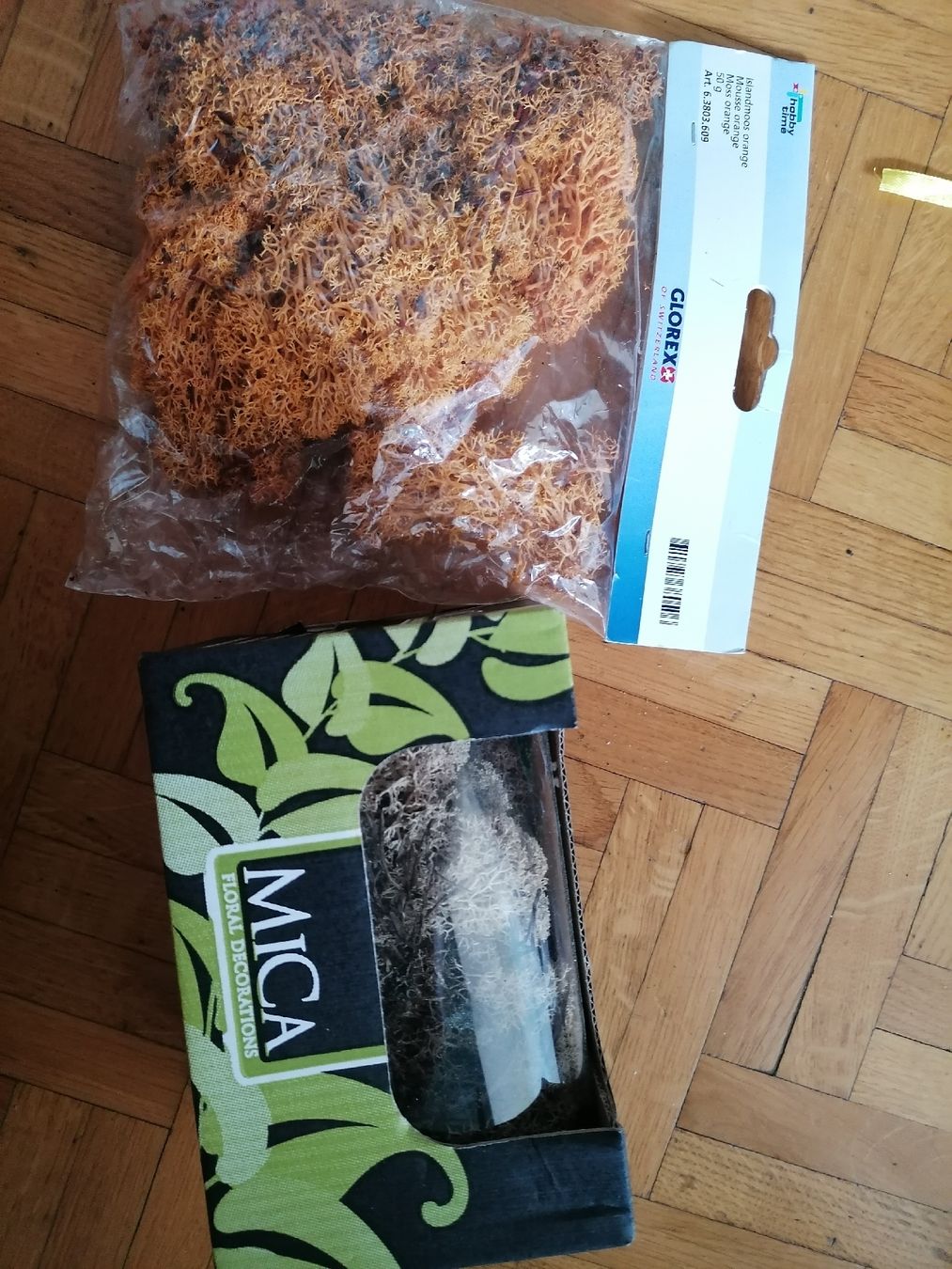 Piante & sementi: Moss lichene mousse Orange et verte – Nuovo (secondo la descrizione) da Le Mont-Pèlerin venduto da dundun1
