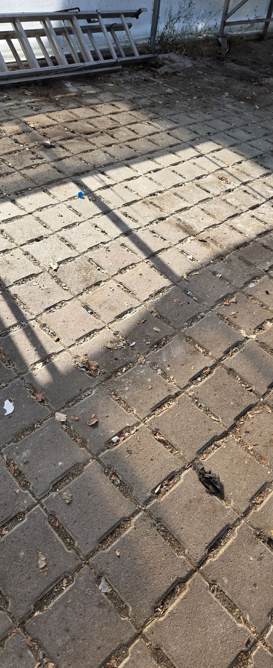 Rivestimenti per pavimenti: Verbundsteine 20/20 – Usato da Rechthalten venduto da magnolia66 3