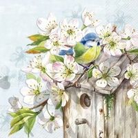 Serviette cherry blossom birdhouse hellblau (1673) 2Stk.