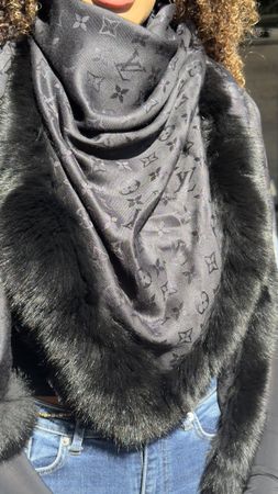 Wunderschöner Louis Vuitton Dreieck Peltz 100% Orginal